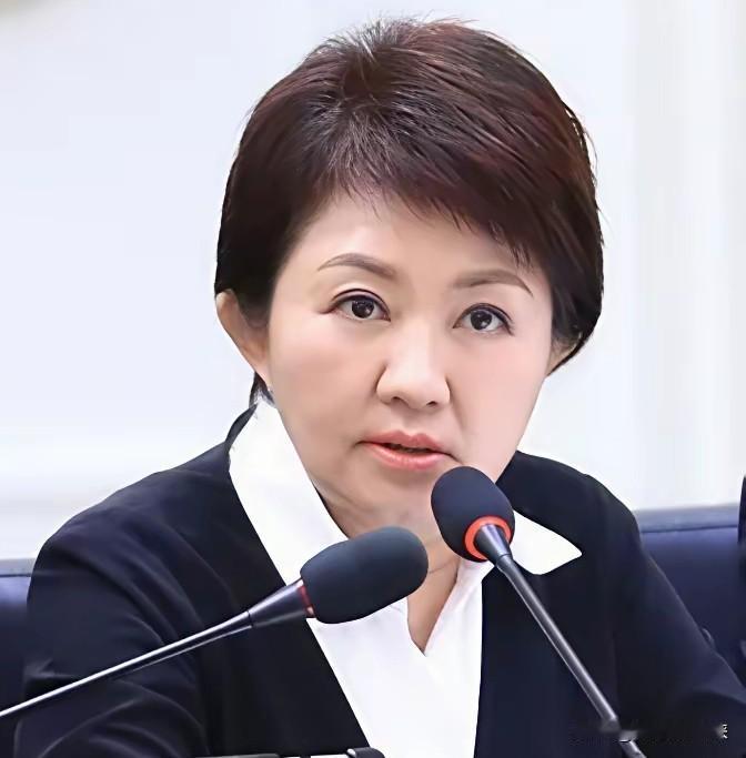 卢秀燕在美国再放厥词：美国是台湾“最重要盟友”！这话跟赖清德有什么区别？

卢秀