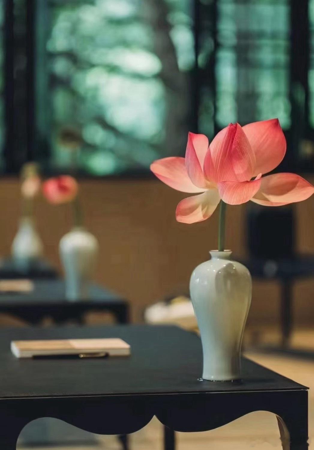 心是限量款容器，只装值得的风景。情绪是高定奢侈品，只给懂你的人看。 