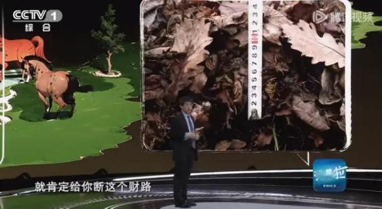 1吨落叶270美元，不卖！2008年，中国工程院院士朱教君断了老百姓的“财路”，