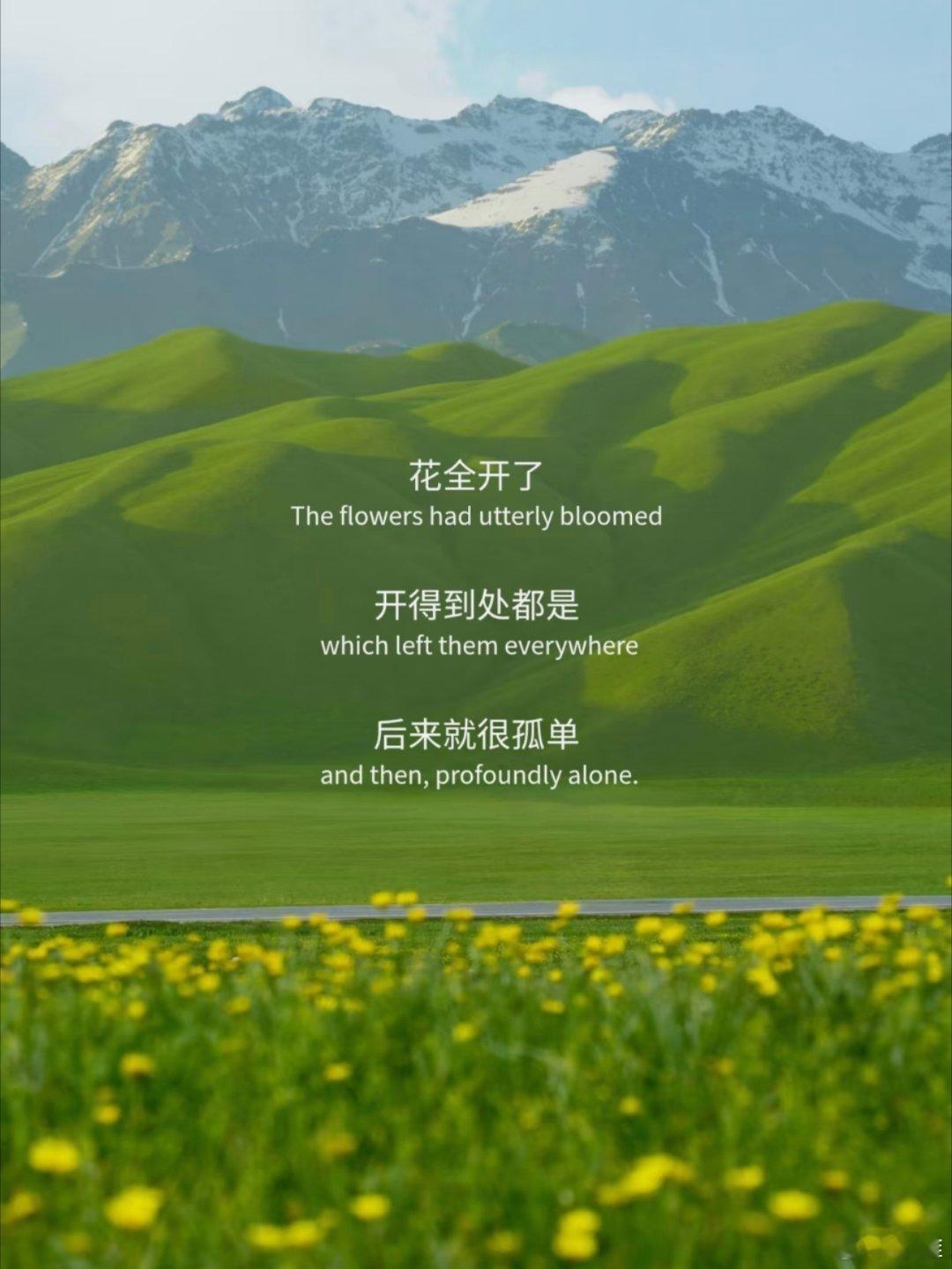 向内生长今天，只端详自我 