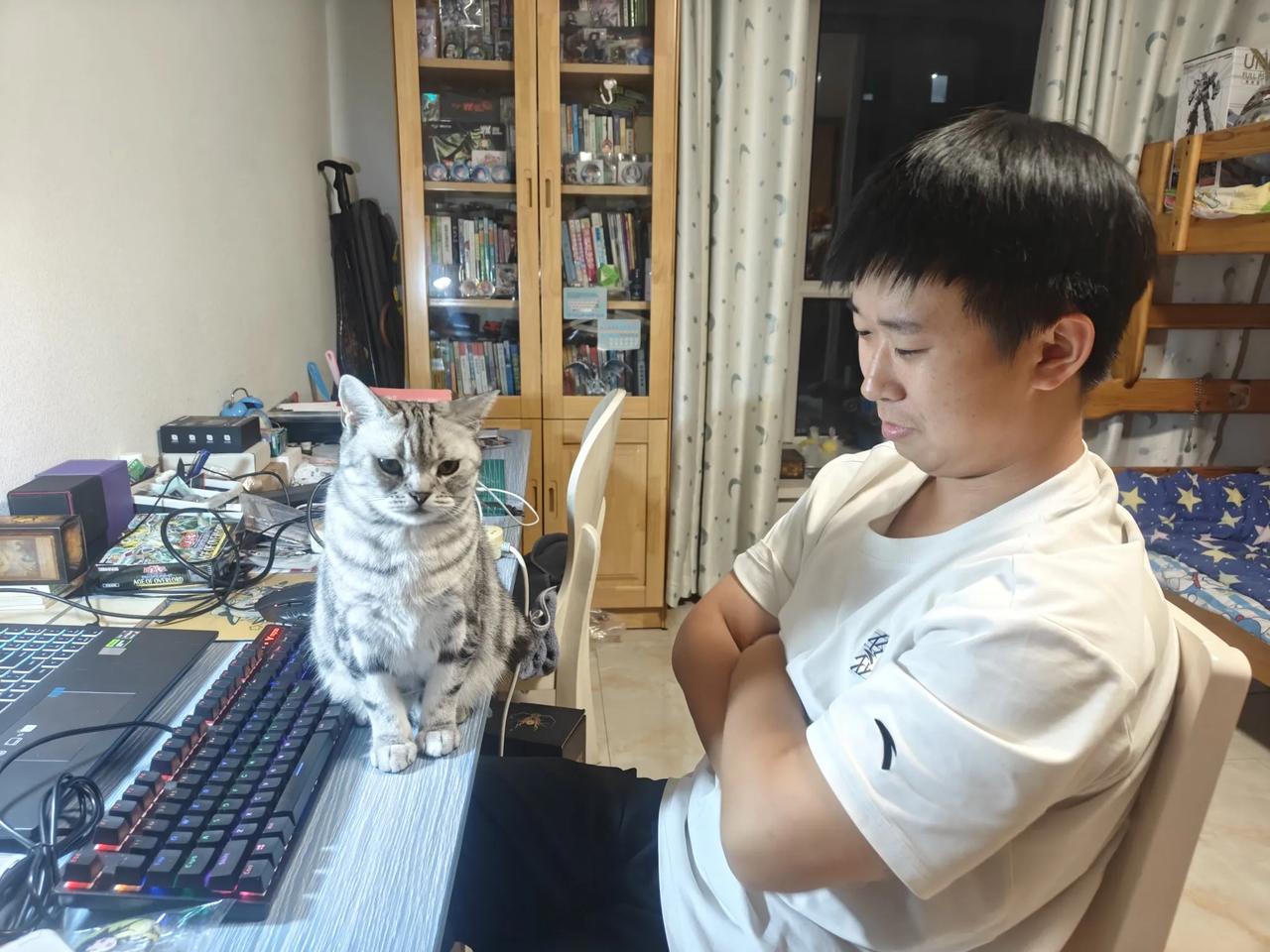 看看我家小猫和它的小主人[我想静静]这是一点没把自己当外人， 一点也不怯他[比心
