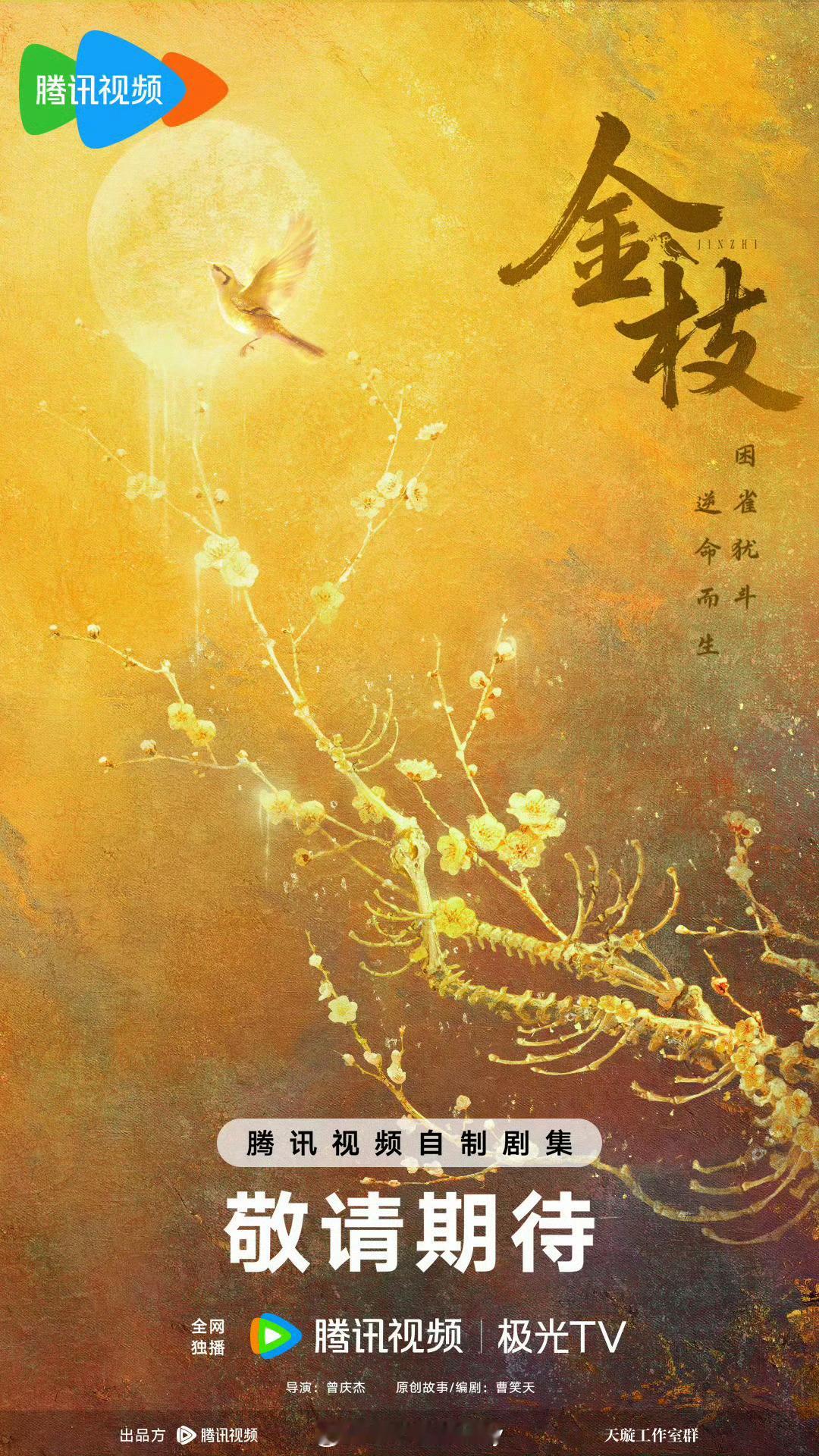 🍉金枝：李一桐导演：曾庆杰 编剧：曹笑天 金枝 李一桐 ​​​