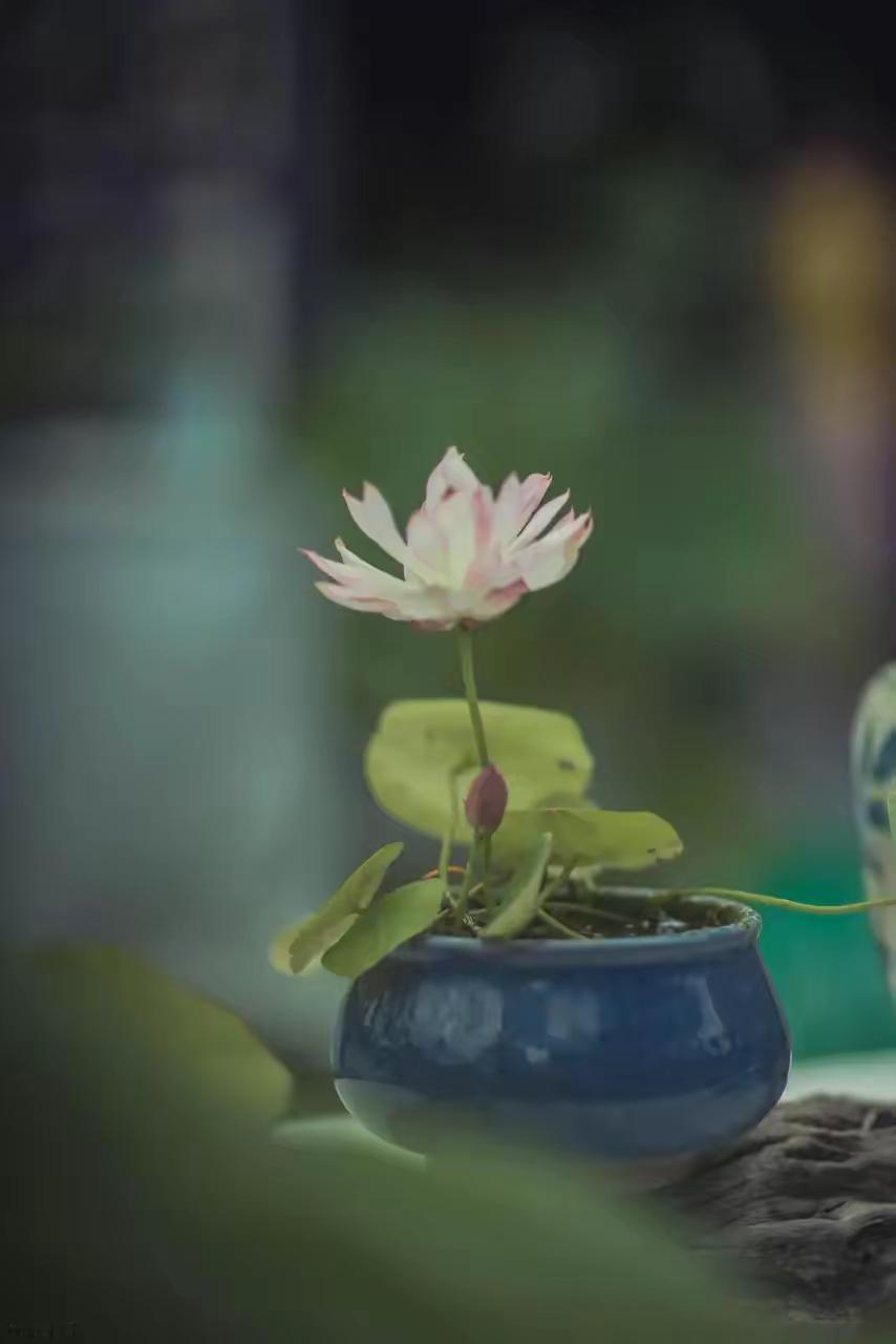 别管儿媳怎么做，记住这六句话，晚年不后悔。

第一句：儿媳叫不叫妈，你都别想当亲