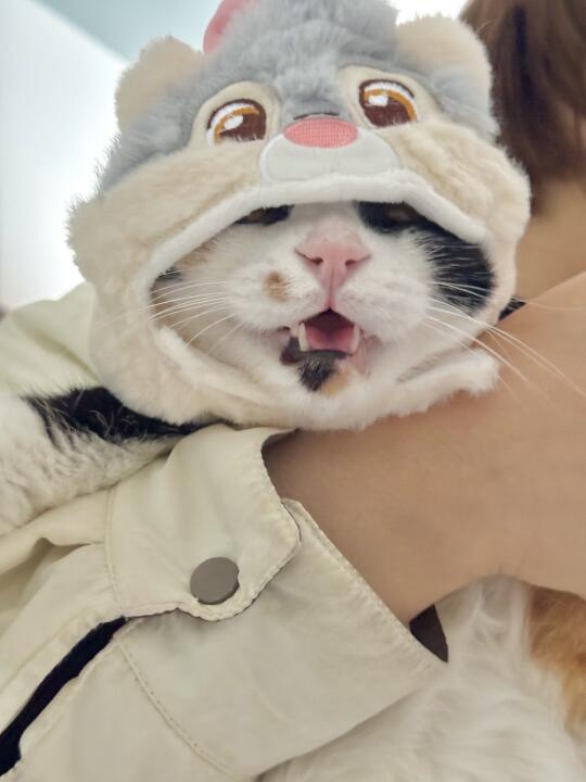 二娃娃的叫声