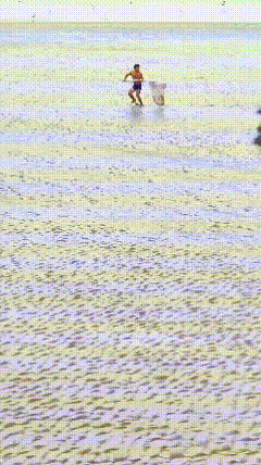 这哥们厉害
一下子抄了两条大鱼[赞]