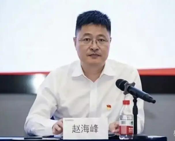 老赵这人长得挺有排面！长方脸，浓眉大眼；悬胆鼻，鼻尖略勾；脸颊略胖，面如冠玉；嘴
