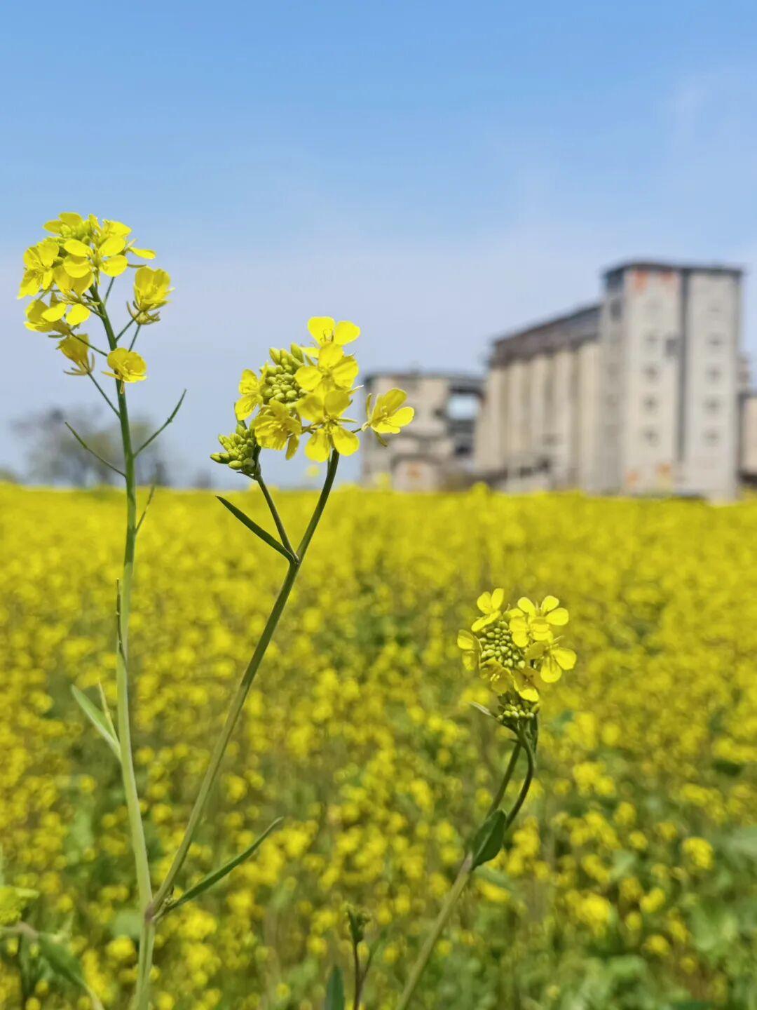 【紧急寻人】昆山500万得主你在哪里？别让你的幸运睡大觉！
昆山又出大好事了！3