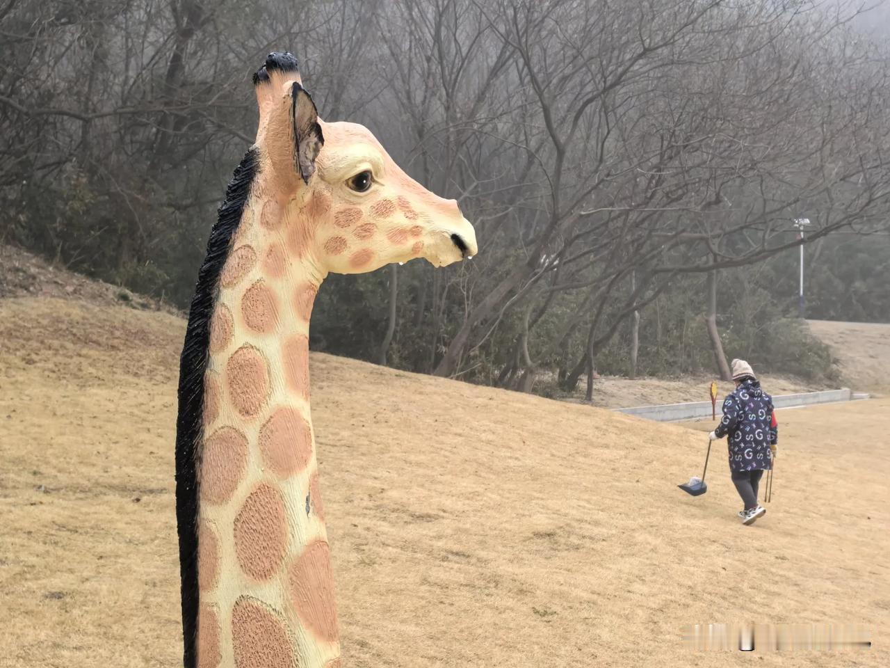 分享你手机里的美景龙王山下鹿回头。宝哥摄记 摄以记之