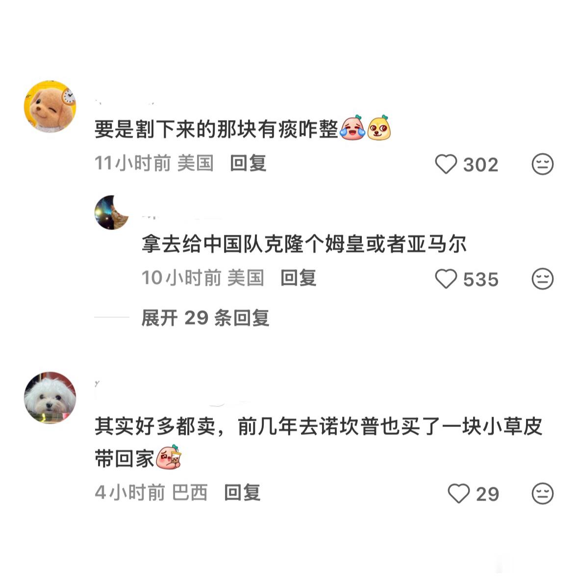 FIFA真的在卖世界杯决赛草皮非正经观战世界杯