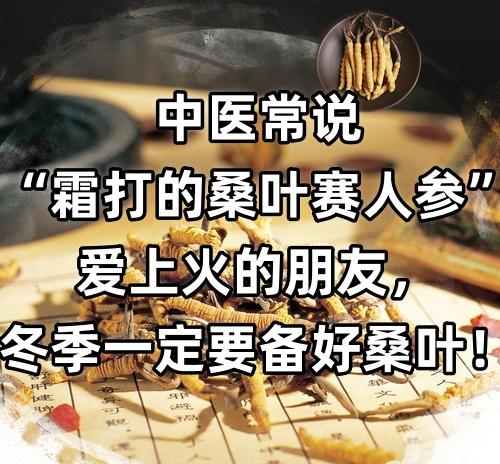 中医常说“霜打的桑叶赛人参”，爱上火的朋友，冬季一定要备好桑叶！

1. 桑叶+