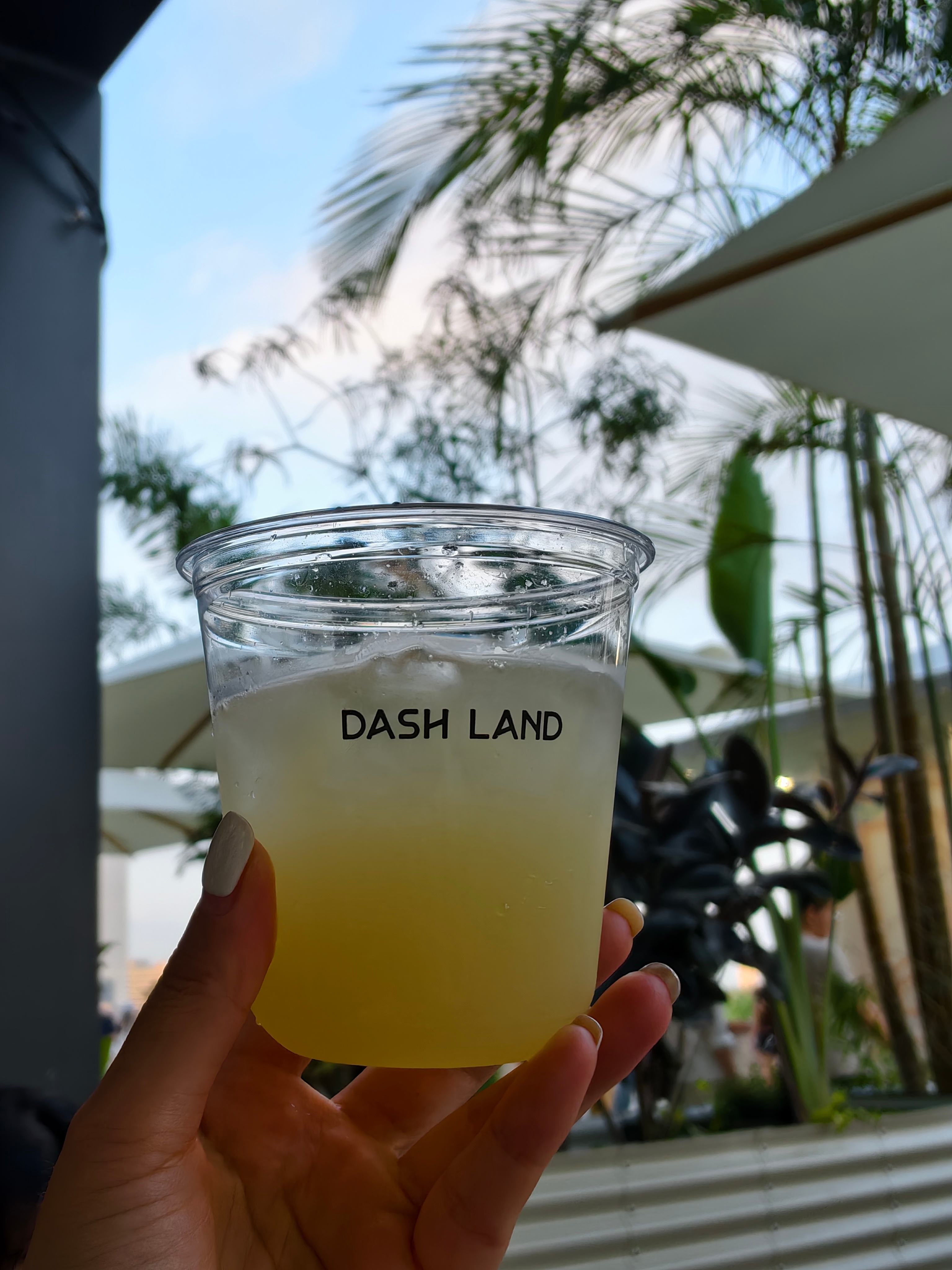 就问！黄浦江的风能不能加速酒精的挥发啊？日常分享微醺  ​​​