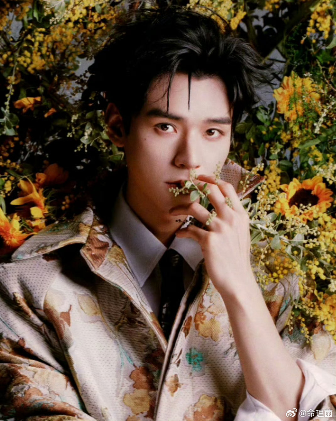 龚俊因左眼下新长了颗痣而开心明明颧骨上方 脸颊上 美是很美 但麻烦也麻烦 