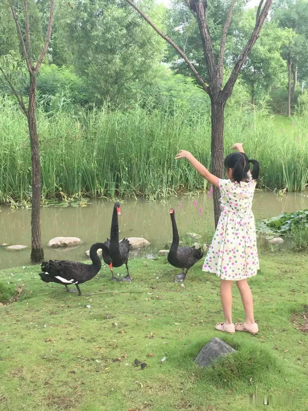 我女儿高敏感，儿子也是，两个孩子应该都是遗传了我的高敏感。

从小我就非常讨厌自