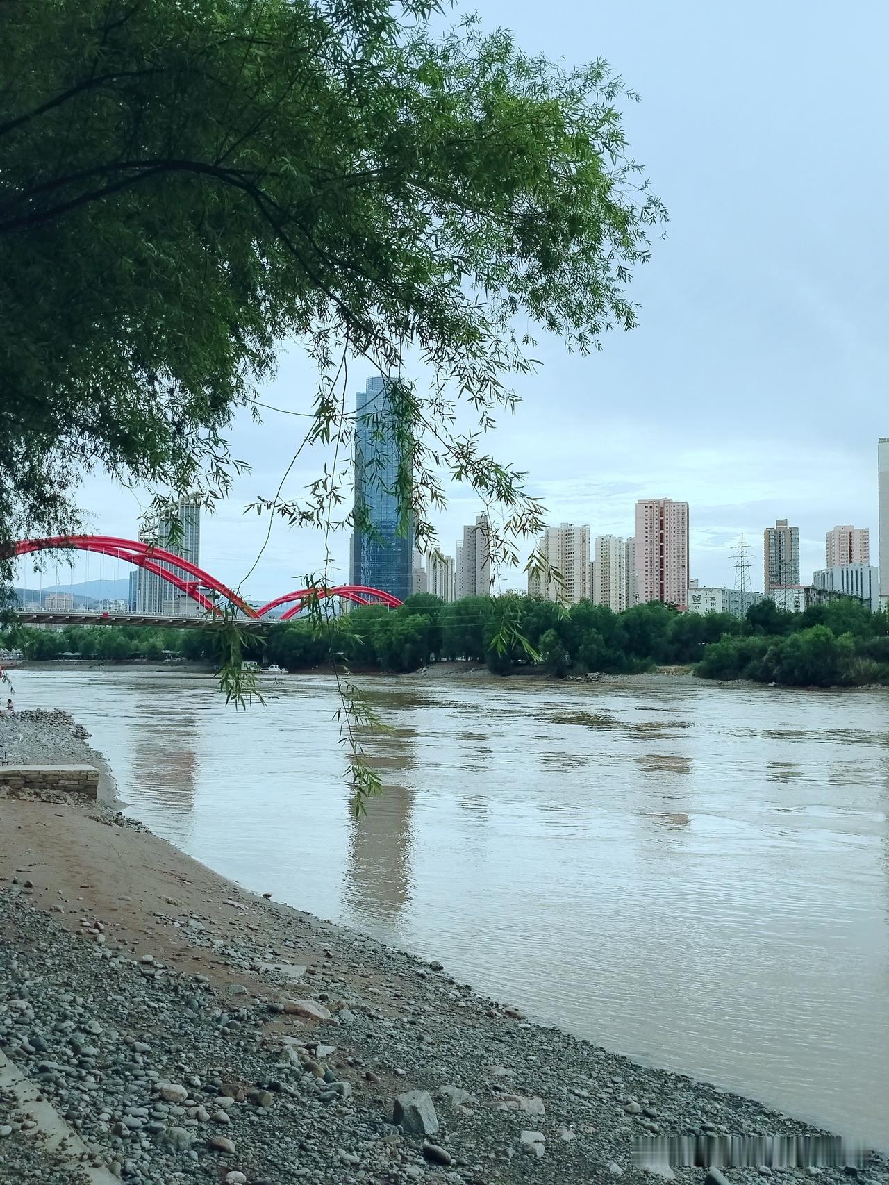 《 雁滩黄河晚步》
岸柳依沙瘦，
河黄抱石流。
闲行桥影下，
风送晚来秋。