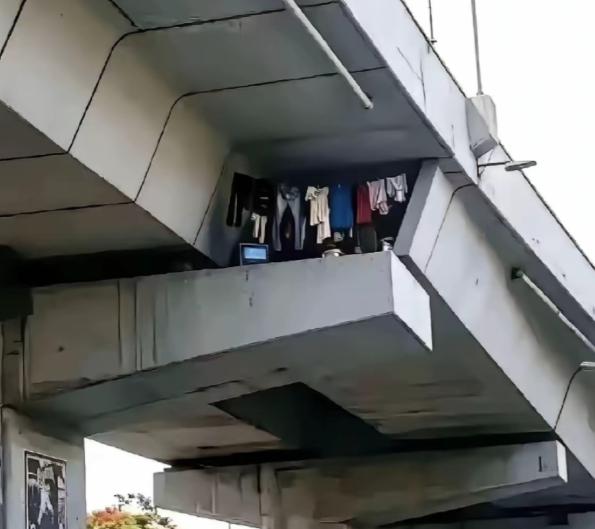 重庆，一男子乘坐01路公交途经城市高架，无意间抬头望向桥梁混凝土夹层时，突然，被