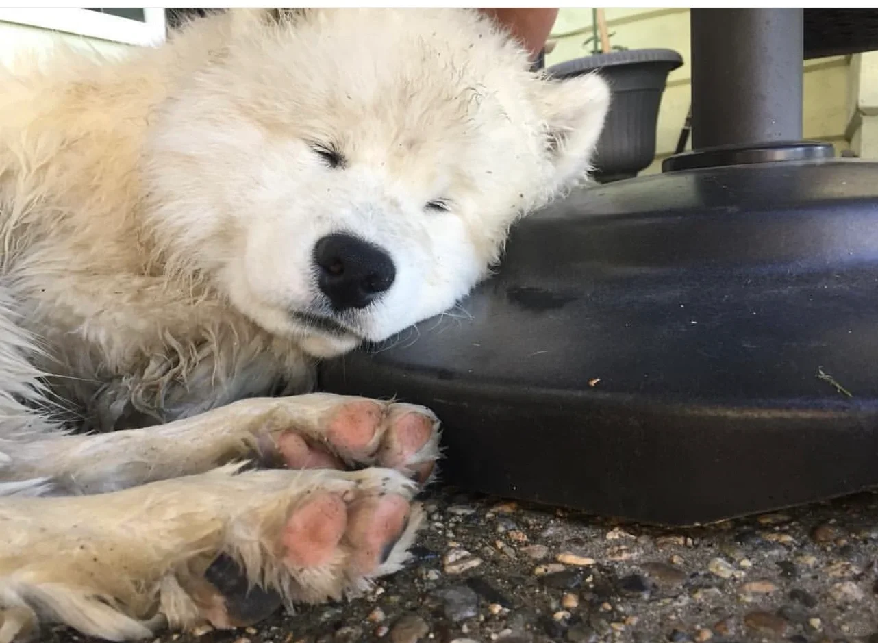 又脏又累又困，先睡会再说吧