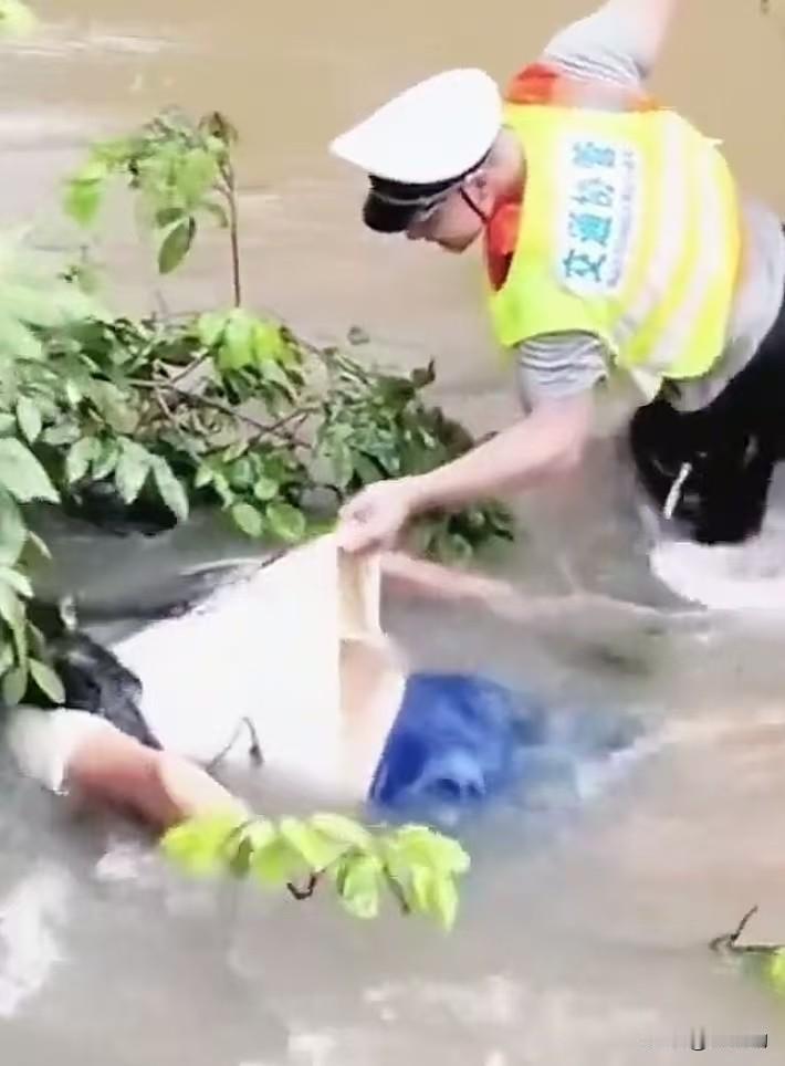 洪水浊浪里这一伸手，看得人瞬间鼻酸。浑浊的洪水几乎没过胸口，交通协警不顾危险，在