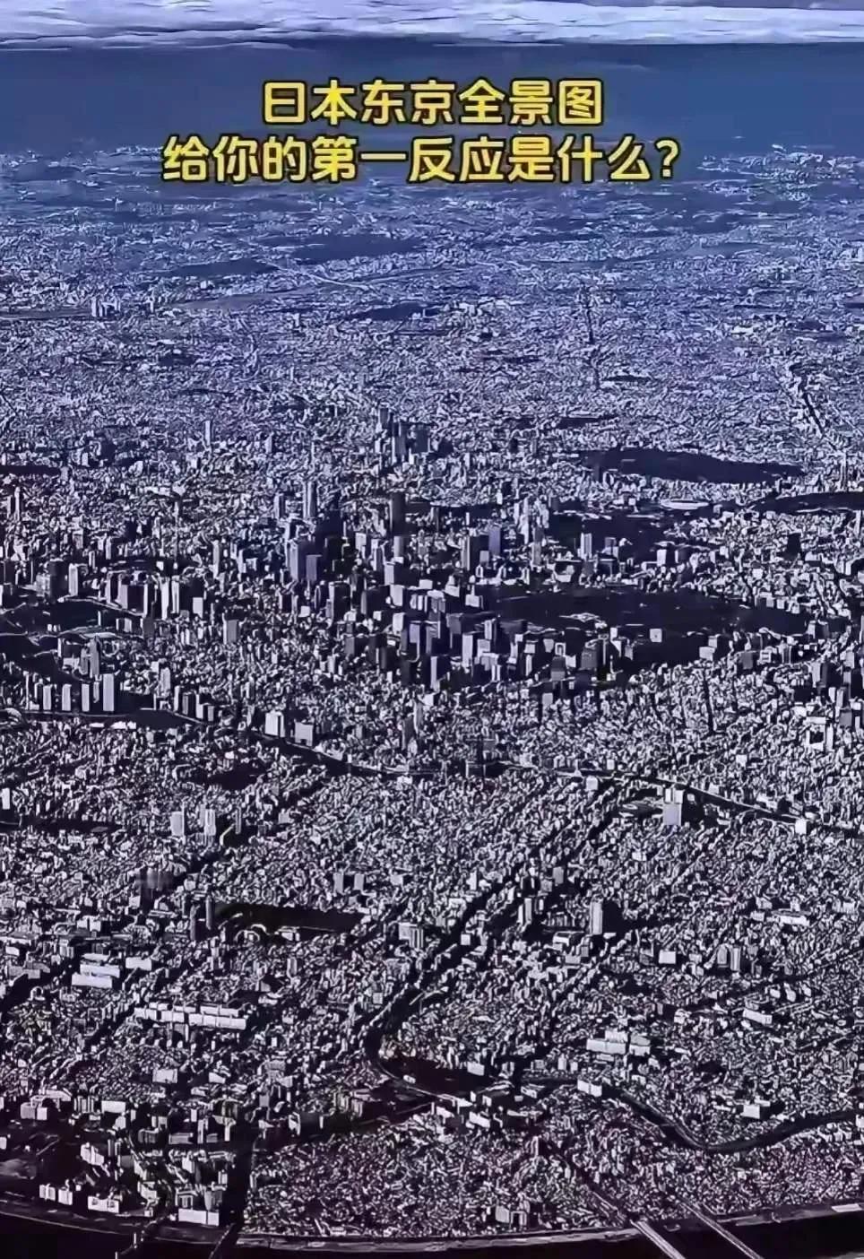 你看了有什么感想？