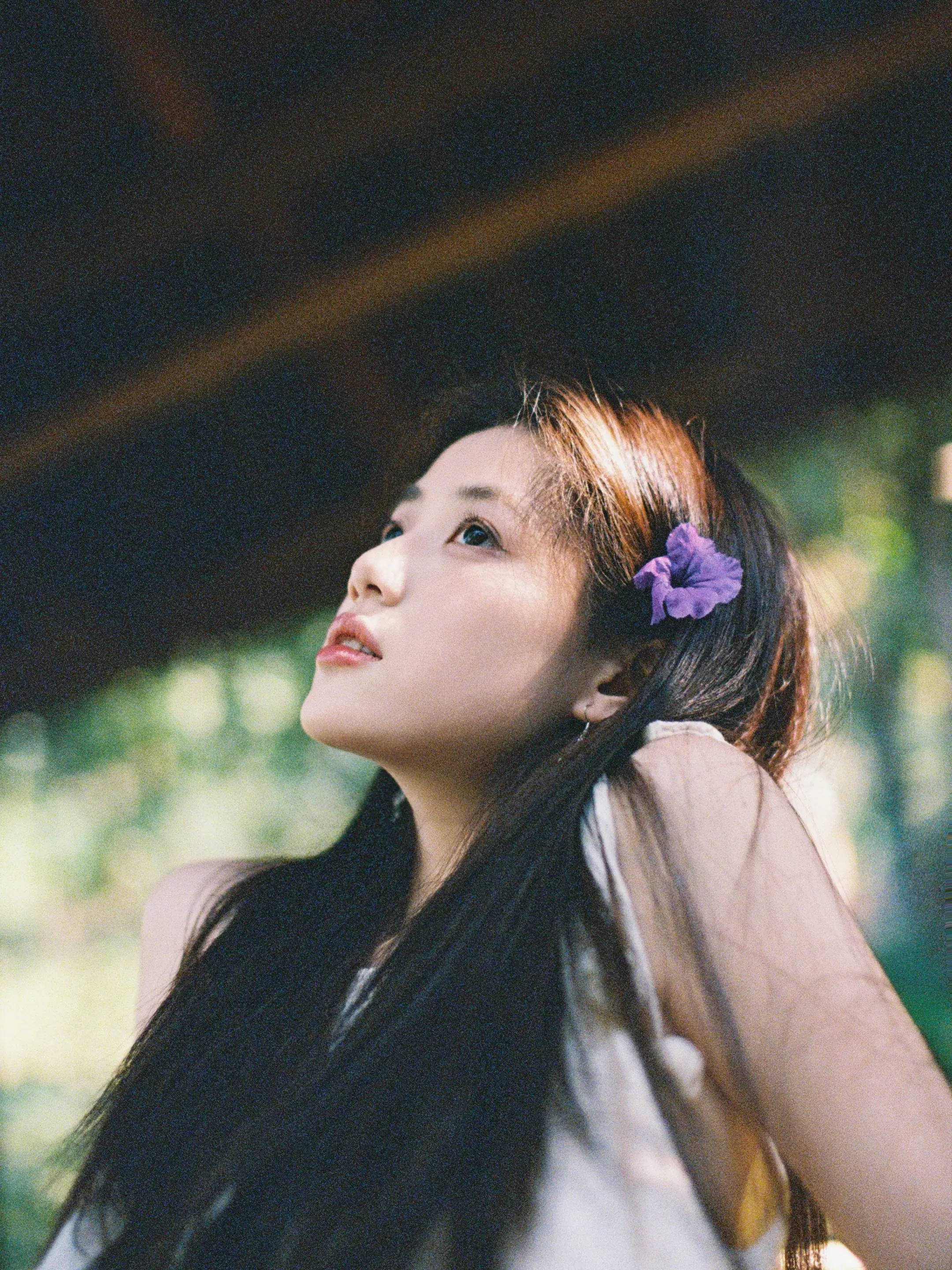 像南洋电影一样打开西双版纳。