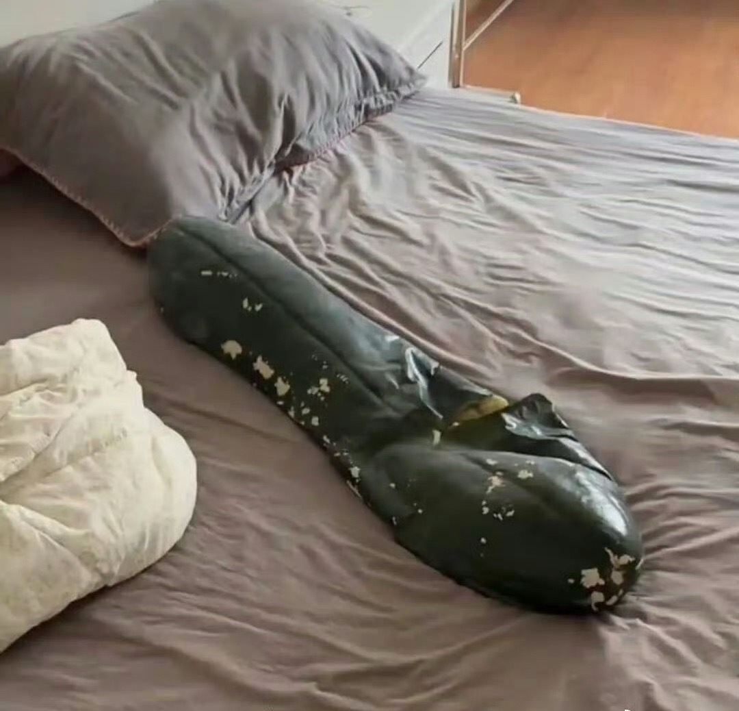 别跟着网上的搞笑降温脑洞瞎折腾冬瓜闷在被窝里会变质渗水，弄得床单被褥很难洗的，直