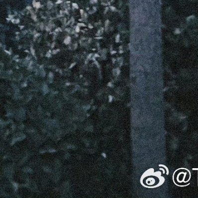 朱志鑫 🌻阳光信用 🌲每日一善 诸事可为，乐观面对，世界虽不完美，但我们仍可