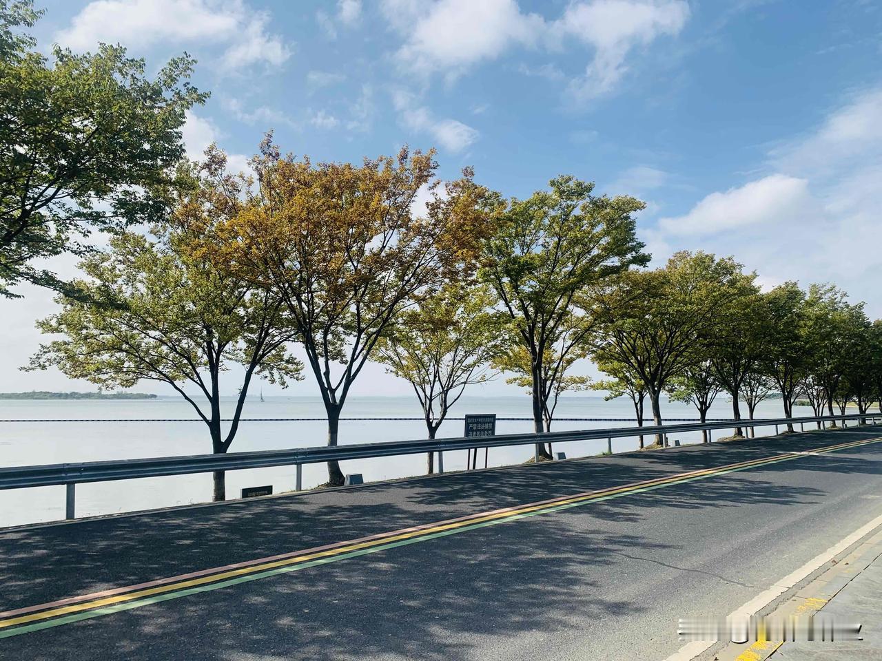 最近没山可爬了，得找个其他运动锻炼身体，淀山湖共享单车休闲环湖一圈61.28KM