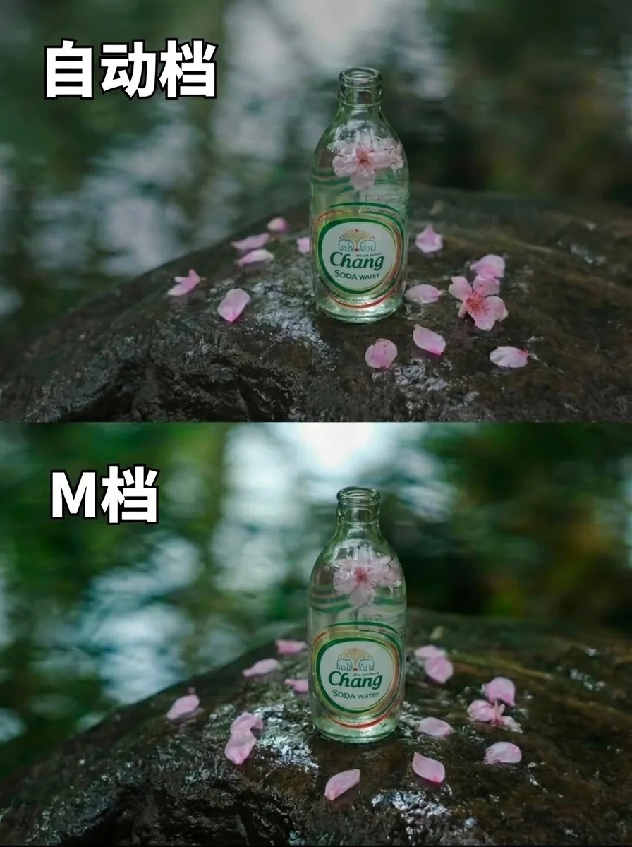 拒绝死记硬背，M档万能口诀‼️