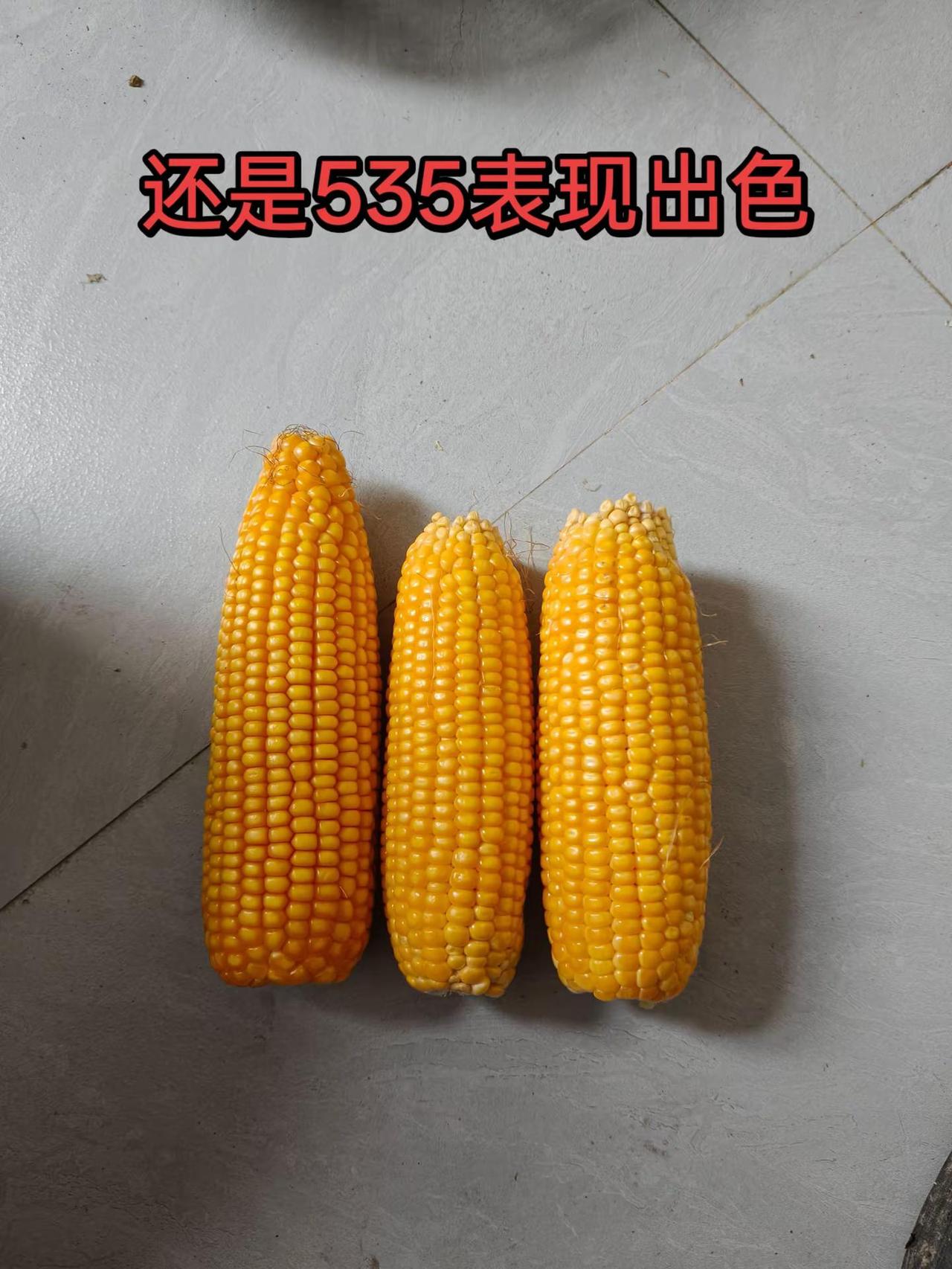 还是535表现好