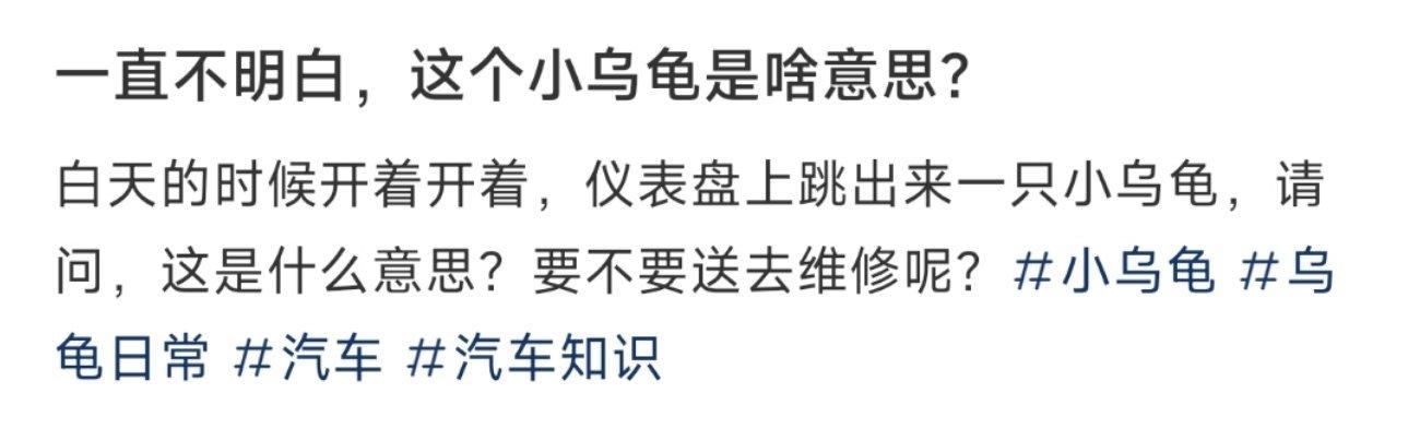 一直不明白，这个小乌龟是啥意思？ ​​​