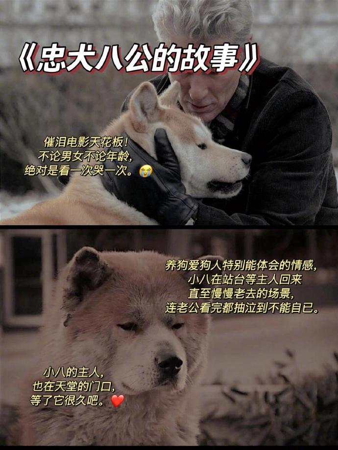 后劲非常大的温情催泪电影。[心] ​​​