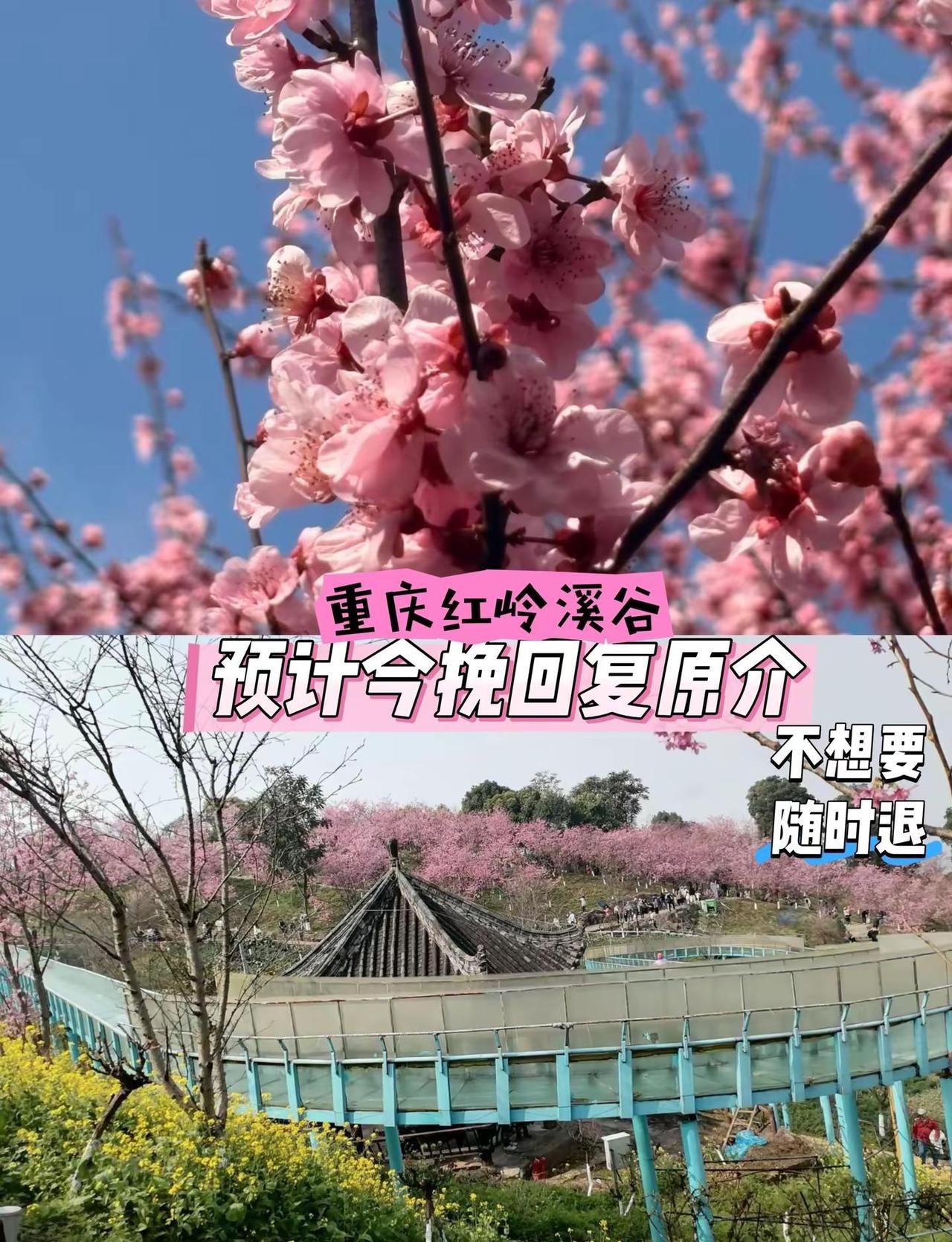 重庆红岭溪谷。热门景点推荐 户外探索 治愈系风景 周末好去处