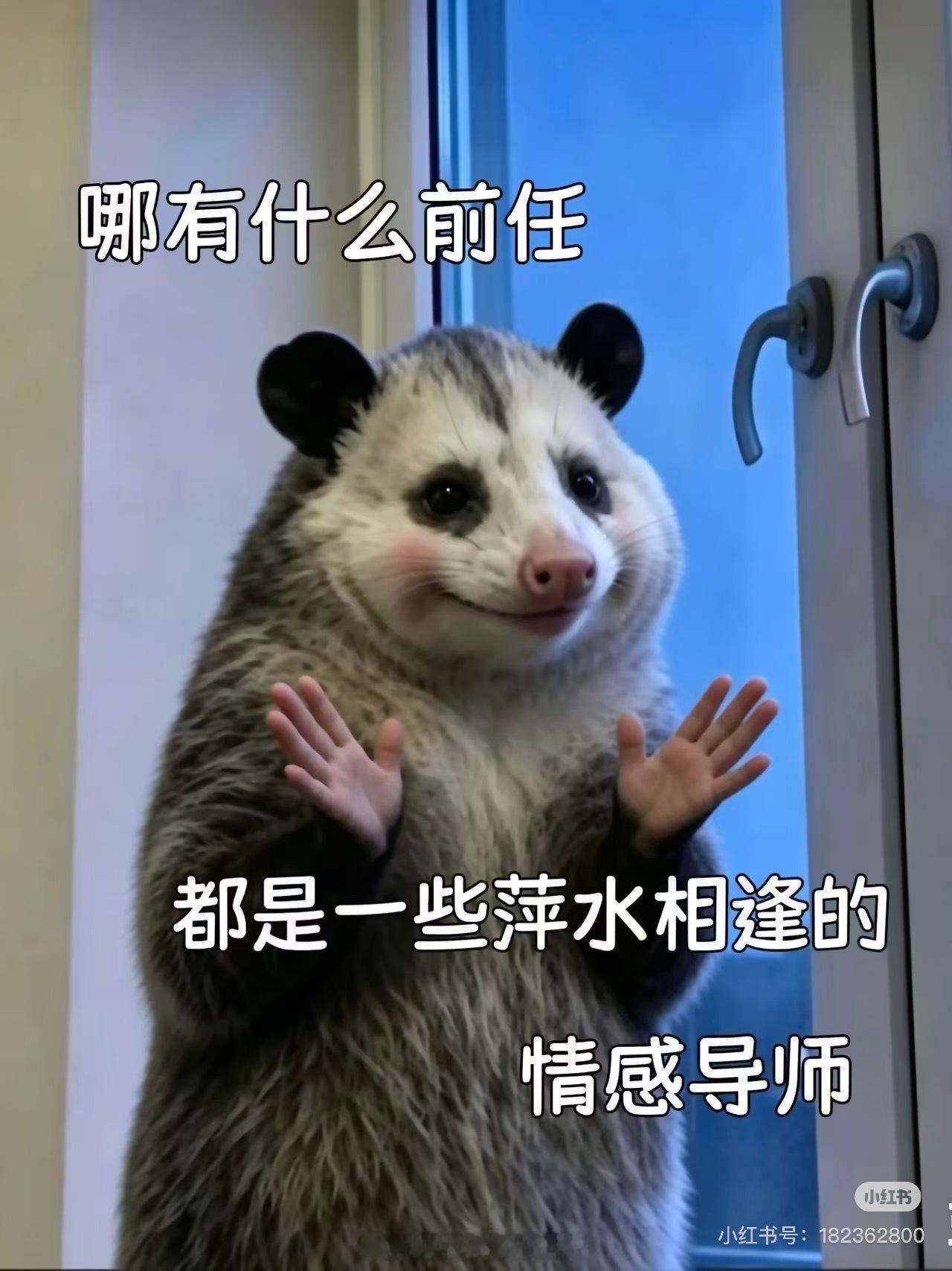 分享图片 