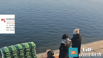 “袁隆平看了都得哭！”辽宁丹东市振安区一处江边，有网民拍摄到多人摆放袋装大米行跪