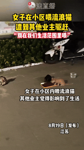 “吵翻天了！”江苏，一女子在小区投喂流浪猫时，竟遭到其他业主无情驱赶！等女子上前