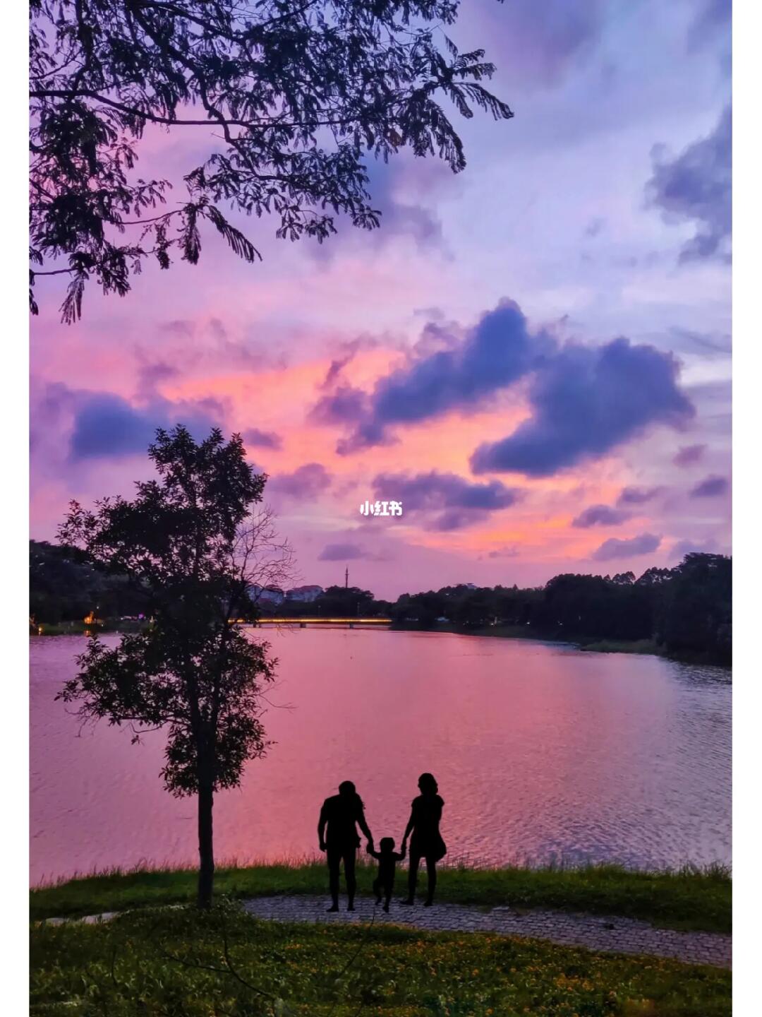 没白跑‼️东莞这里露营太浪漫了