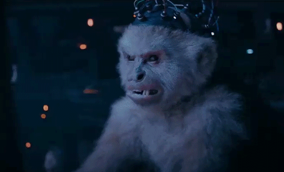 阴谋论者每天都在发力 