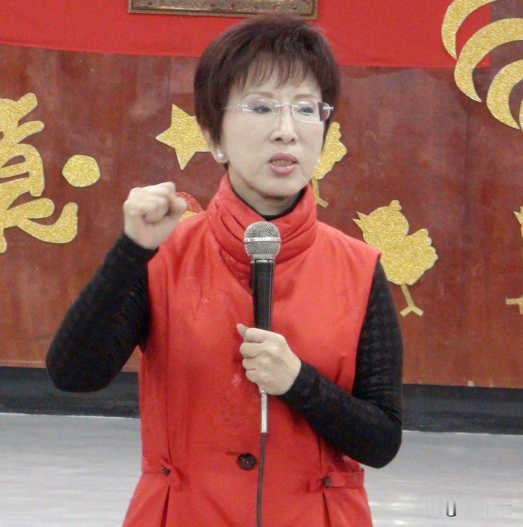 6月20日洪秀柱直面痛斥郑丽文，一句话戳穿国民党多年的路线困局：统一写入党纲，是