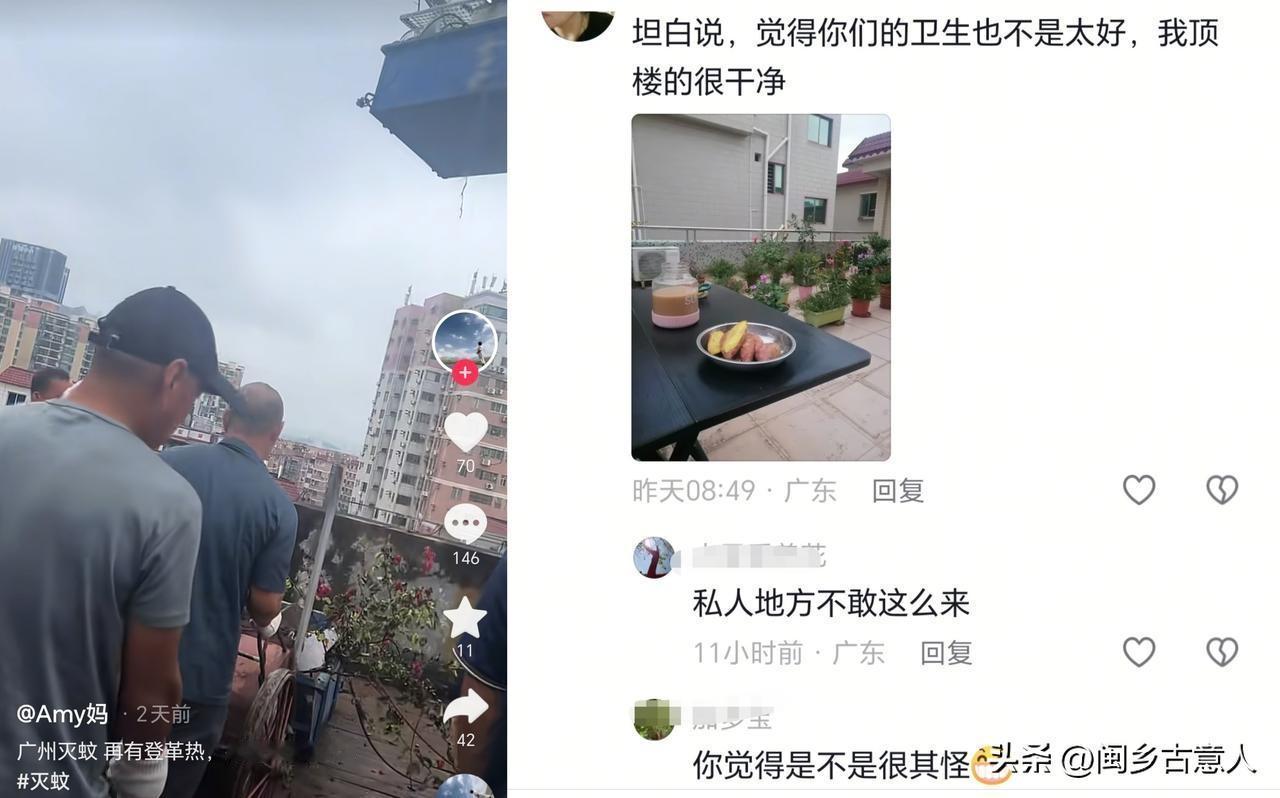 有人带节奏广东“灭蚊清理绿植”，搞得一点不明真相的人，担心自己家种的绿植被强制清