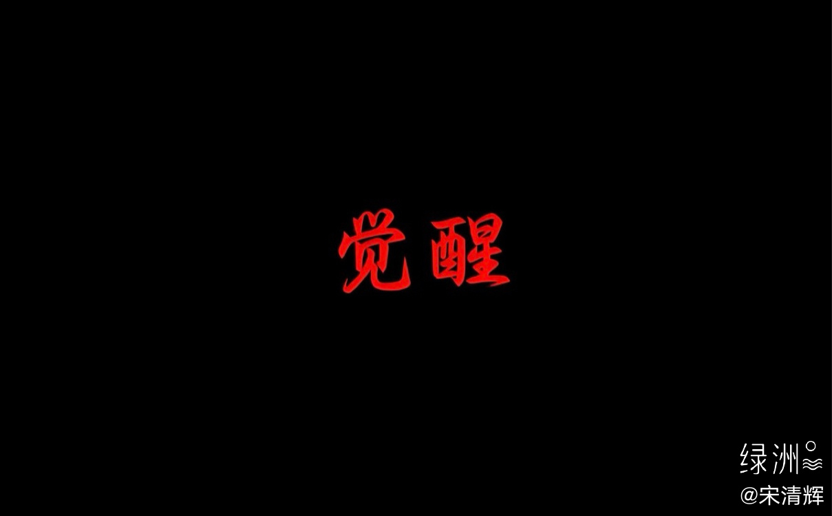 总在记忆里  （1608）：你骂我的孩子，我为什么还为你点赞？因为你只是被教宗暂