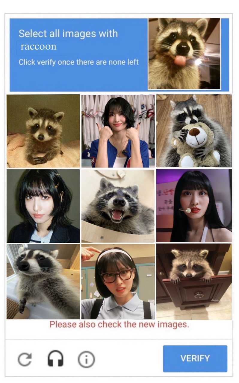 请选择浣熊出现的照片以证明您不是机器人 ​​​