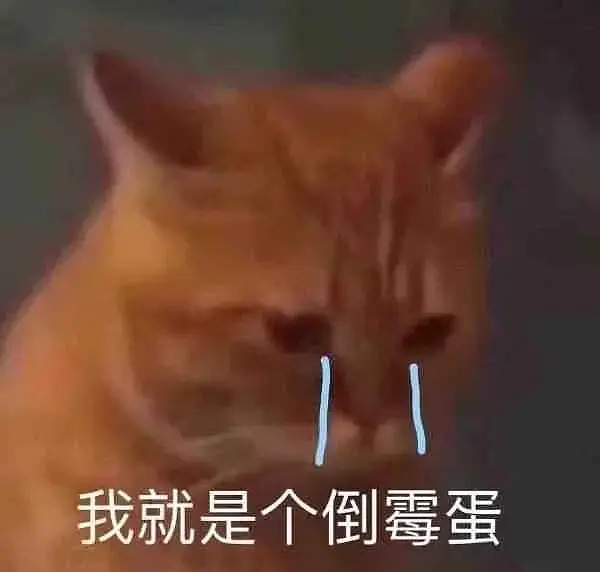 小学的时候在家💜被豹猫尴尬的发现了小时后因为电脑自由加上家长很少管，在二年级无