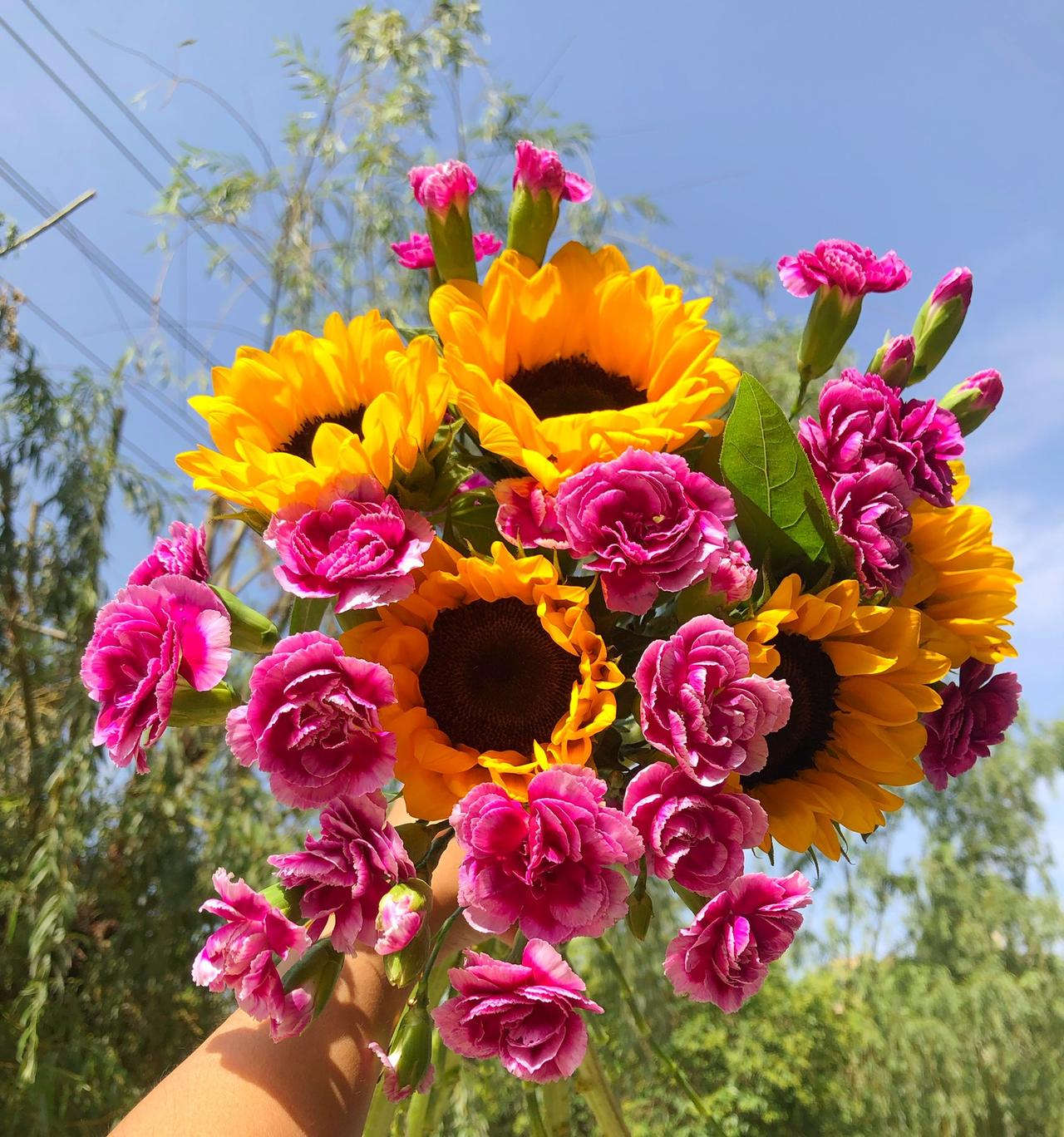 周一早盘高开后陷入震荡，短线追涨需谨慎！
周一沪指高开37点，随后陷入窄幅震荡态