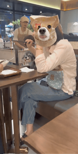 女子穿戴整洁很干净，她的狗也很干净。
她认为她喂它的狗，她的筷子没有接触到狗的嘴