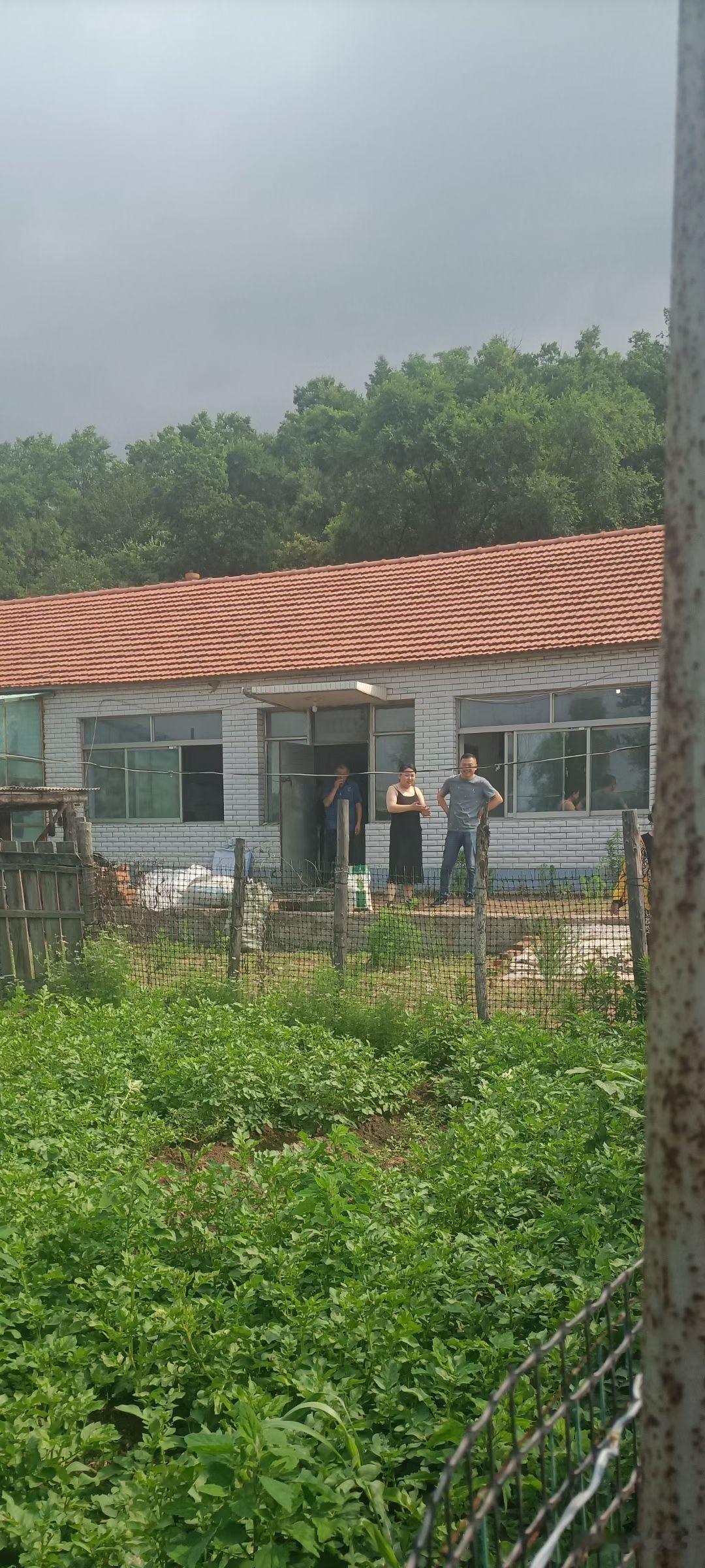 原创随手拍之（2792）
吉林省东丰县横道河镇白蒿村宫大院屯。
位于横道河镇镇区