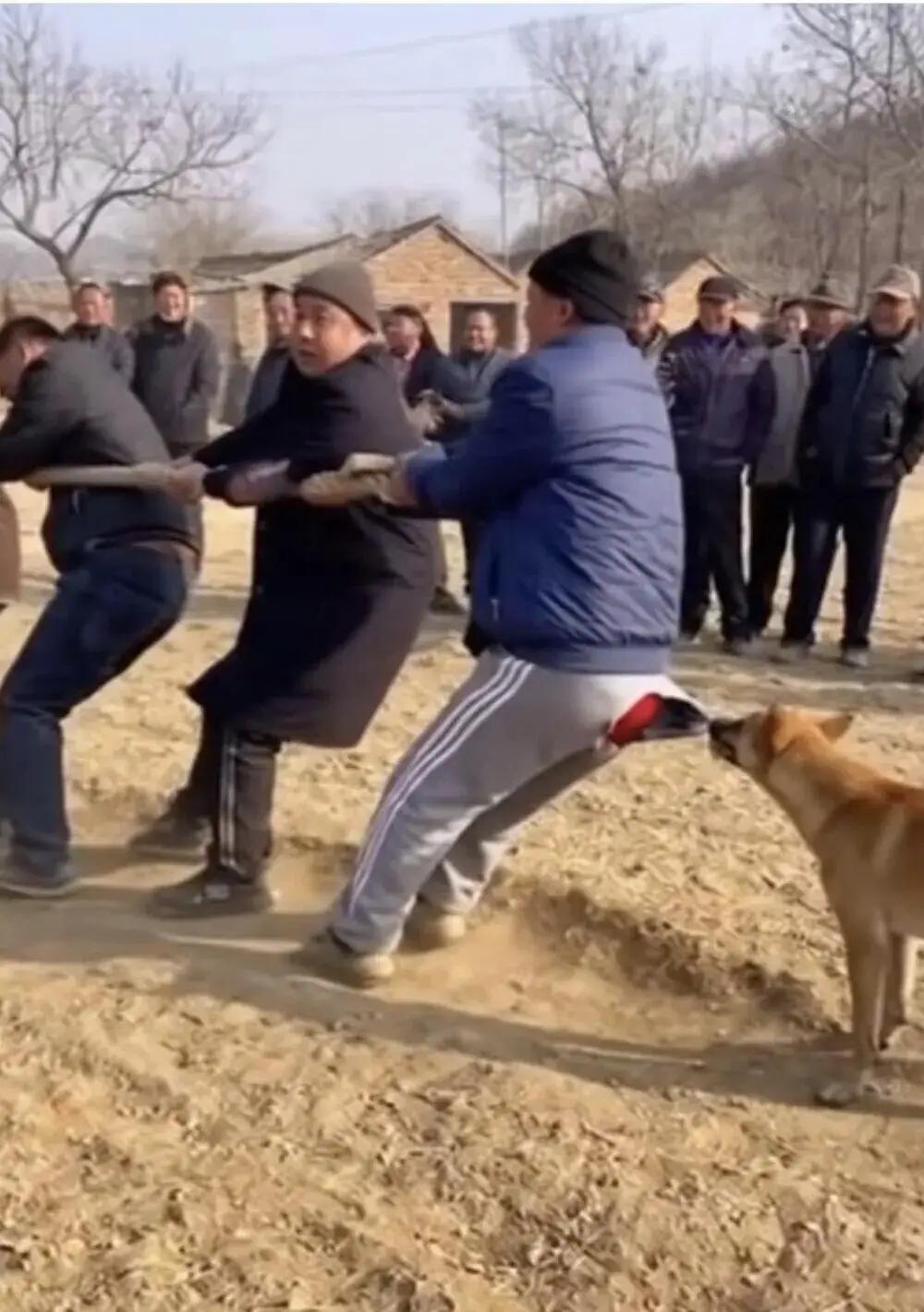 原来一代人的深情，从不是轰轰烈烈的告白，而是藏在烟火岁月里，一辈子的默默相守。