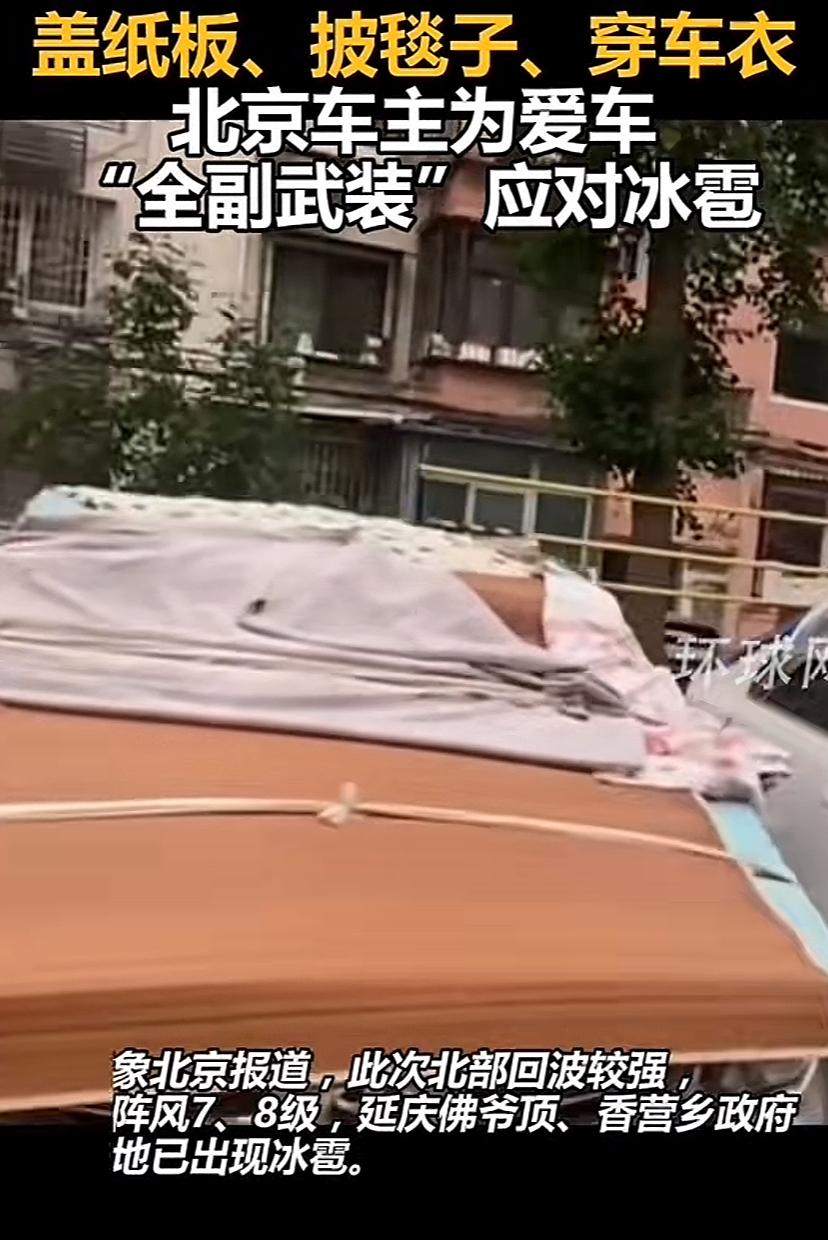 北京人为了爱车真是把各种省钱的办法用上了，这能管什么用，一旦大树刮倒或者有杂物砸