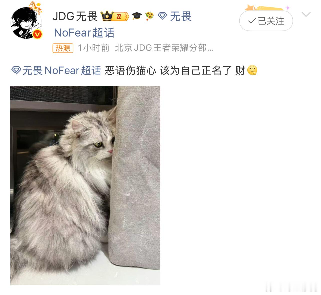 无畏为自己的猫正名了你们不要这么严厉对待财财😭它只是一只小猫，我现在心酸甜苦辣