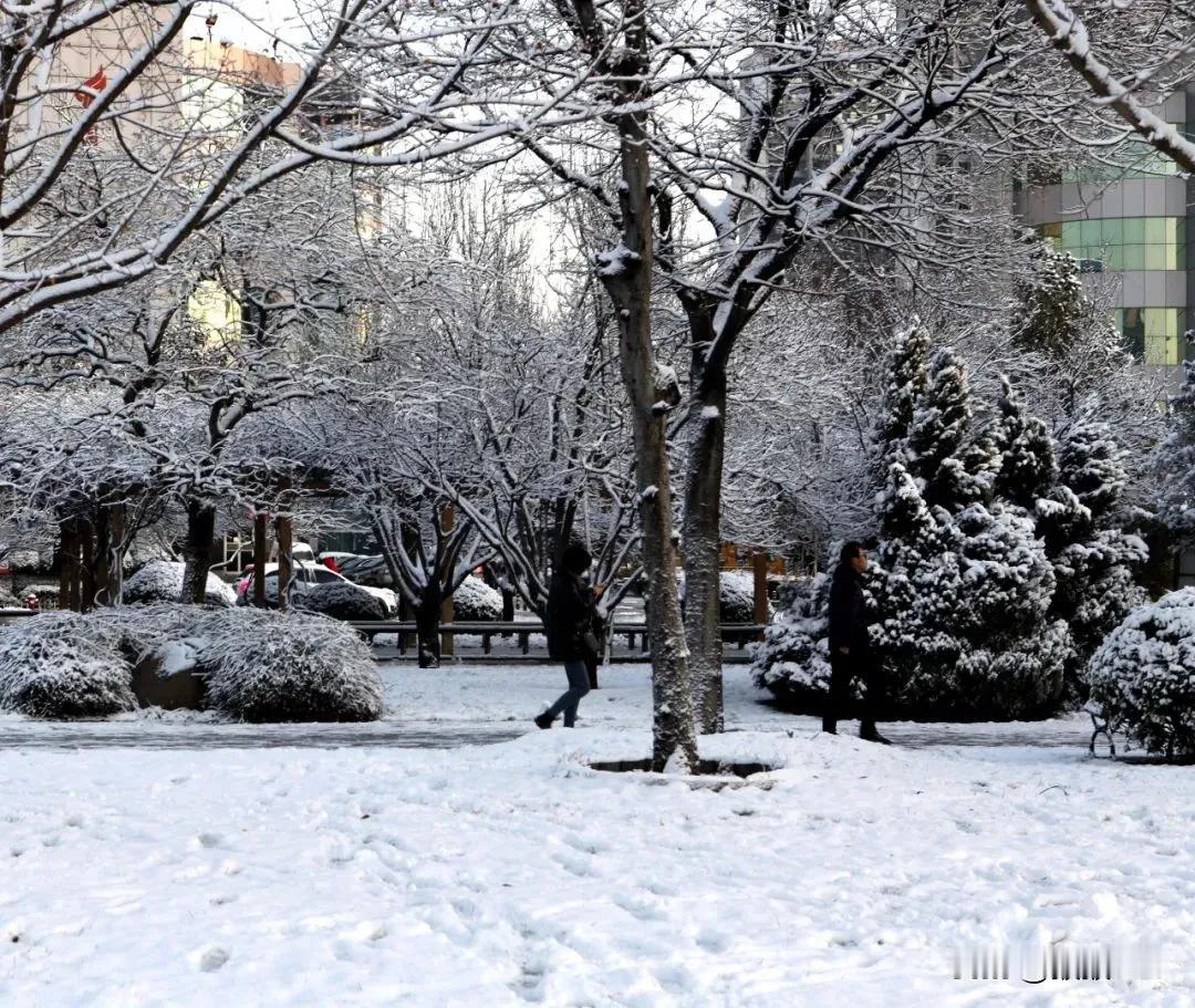新年“霸王级”寒潮到！局部降温20℃+，寒潮来了！暴雪！局地大暴雪！山东短短几天