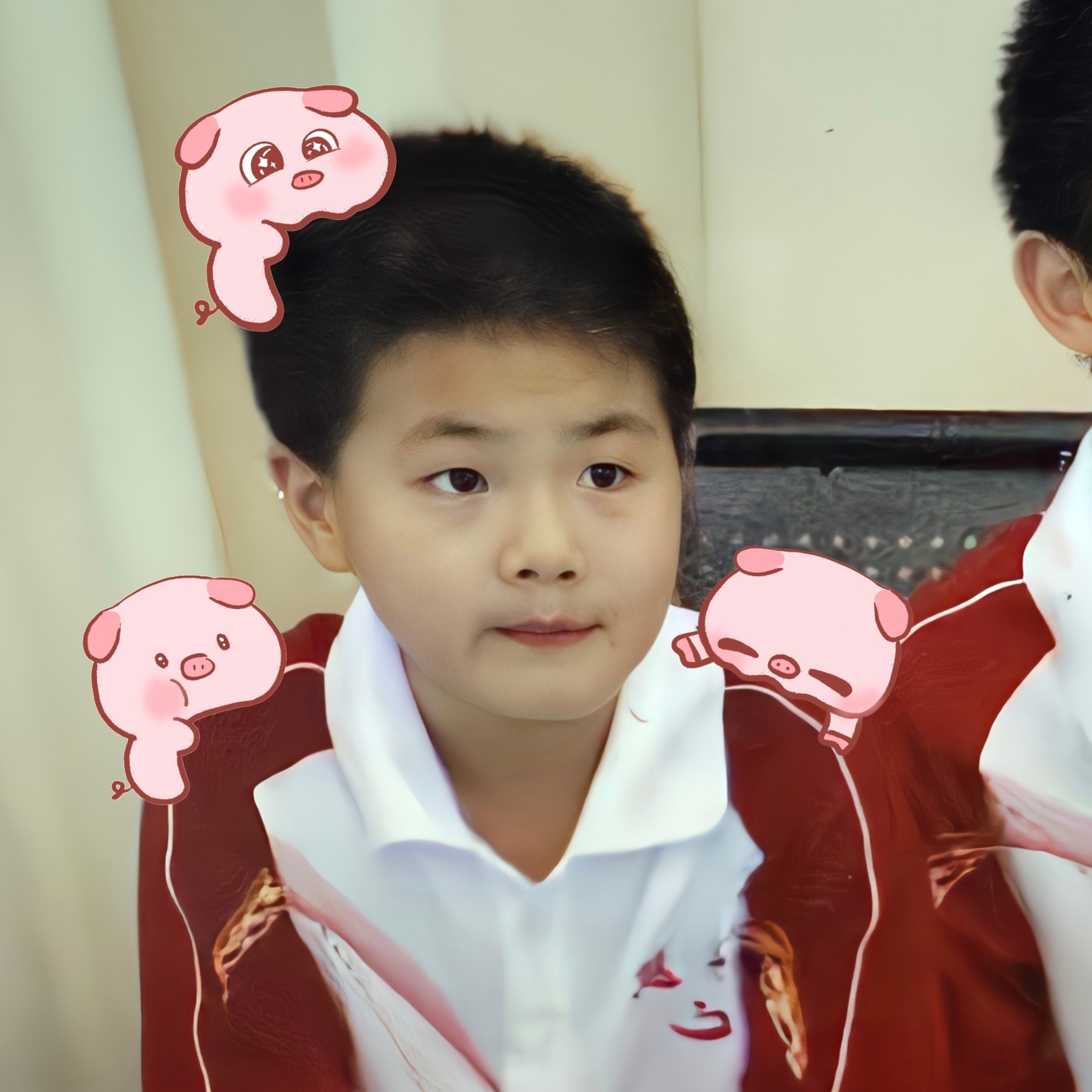 请问图上几只猪？ 