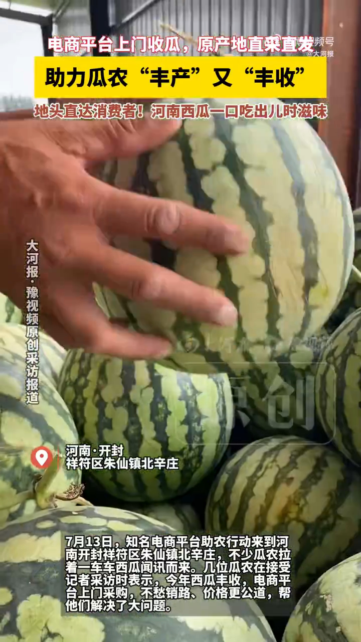 河南西瓜销量回暖瓜农发声河南西瓜真中 咬第一口河南西瓜的时候就惊了，怎么能这么甜
